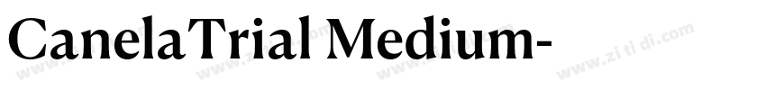 CanelaTrial Medium字体转换